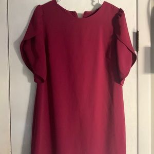 Beautiful zip back dress